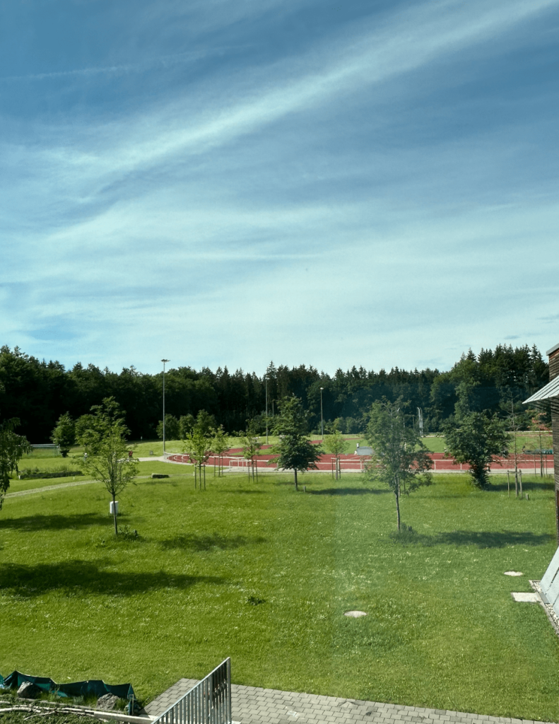 Track Meet Receives Mixed Reviews from Athletes